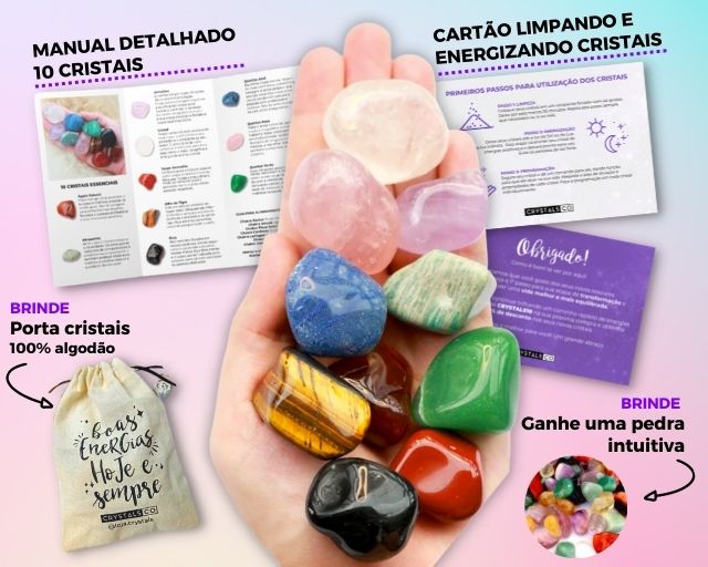 Tudo o que vem em nosso kit